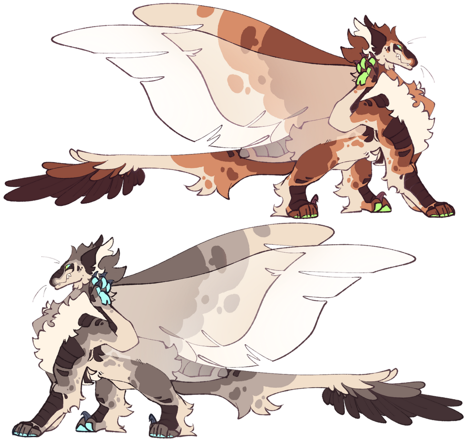 Design + Recolor